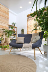 Wall Mural - Comfortable sofa and beautiful houseplants in room. Lounge area interior