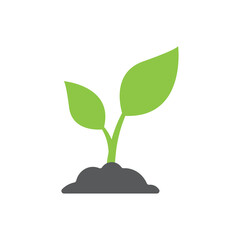 Wall Mural - plant icon design template vector
