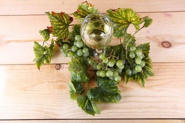 Wall Mural - Grape and wine on table