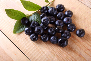 Canvas Print - Blueberry harvest