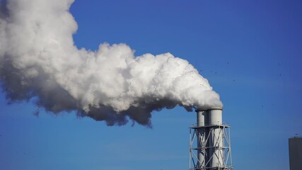 Fototapete - CO2 emissions from a chimney of a fossil fuel (coal) power station.