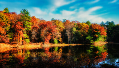 Wall Mural - Autumn Leaves around Lily Lake at Chenango Park in Upstate NY.