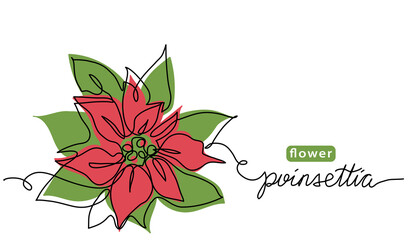 Poinsettia, Christmas flower vector drawn sketch, color illustration. One continuous line art drawing, background with lettering poinsettia flower