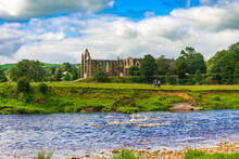Ruins Of Bolton Abbey On The River Wharfe