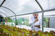 © chokniti - plant medicine biology scientist research concept, outdoor agricultural technology laboratory field