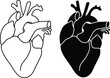 Realistic Heart Clipart - Outline and Silhouette