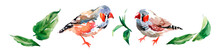 Set Of Birds With Leaves On A White Background, Watercolor Illustration