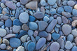 The texture of large river pebbles. Will match the background