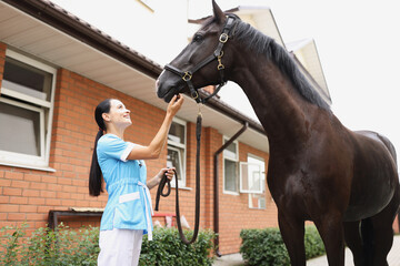 Female doctor veterinarian examining horse on farm