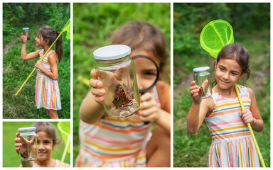 Wall Mural - The child catches butterflies with a butterfly net collage. Selective focus.