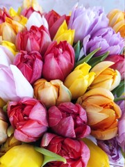  bouquet of tulips