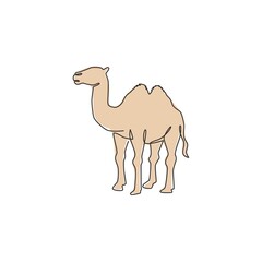 Poster - One single line drawing of desert Arabian camel for logo identity. Cute mammal animal concept for livestock husbandry icon. Trendy continuous line draw design graphic vector illustration