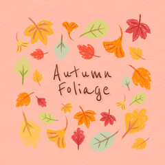 Sticker - Autumn foliage  design elements vector set