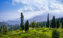 Beautiful Mountain Landscape Of Gulmarg Jammu And Kashmir State India