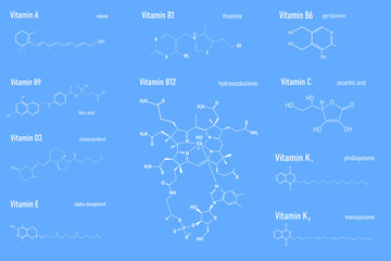 Sticker - Vitamin Complex with Food B1, B6, B9, B12, K, A, E, C Label and Icon. Chemical Formula and Structure Logo. Vector Illustration.