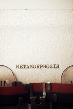 Metamorphosis concept view