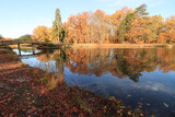 Fototapeta Pomosty - Herbstlicher Park Branitz in Cottbus; Partie am Schlangensee