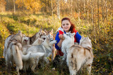 Fototapeta Konie - The dog breeder with her husky dogs in autumn forest