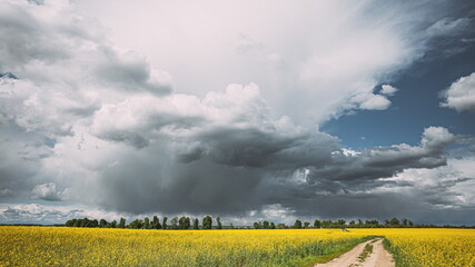 Wall Mural - Dramatic Sky With Rain Clouds On Horizon Above Rural Landscape Camola Colza Rapeseed Field. Country Road. Agricultural And Weather Forecast Concept. Time Lapse, Timelapse, Time-lapse. 4K.