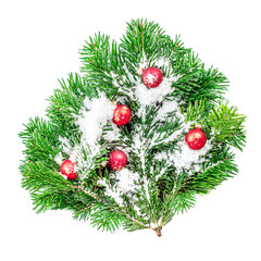 Wall Mural - christmas fir tree with decoration isolated on white background..