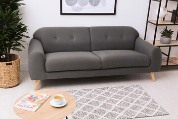 Sticker - Stylish living room interior with grey rug, comfortable sofa and plants