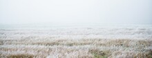 Pathway Through The Field In A Thick White Fog. Hoarfrost, First Snow. Protected Rural Area. Picturesque Panoramic View. Autumn, Early Winter. Pure Nature, Environmental Conservation, Ecology