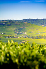 Canvas Print - Madone de Fleurie et son vignoble, Beaujolais, France