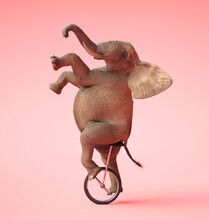 African Elephant Swinging On A Unicycle. 3D Illustration