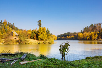 Wall Mural - Lake and colorful trees in autumn landscape under blue sky