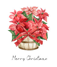Red Poinsettia Flower In The Wooden Pot With Red Bow. Watercolor Illustration.The Christmas Winter Holiday Bouquet Isolated On The White Background