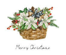 White Poinsettia Flower In The Basket With Buffalo Plaid Bow, Pine Cone, Firry, Holly Leaves And Red Berries. Watercolor Illustration.Christmas Winter Holiday Bouquet Isolated On The White Background