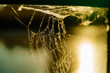 Sparkling Spider Web Hanging In The Corner. Cobweb In The Rays Of Sunlight. Uneven Threads Of Cobweb In Bokeh Effect.