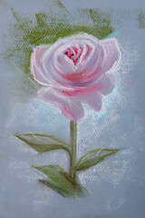 Poster - Pastel drawing of pink rose on light background