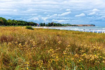 Canvas Print - Wiese und Strand an der Ostsee