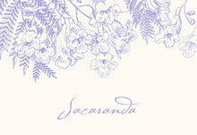 Jacaranda Blooming Branches, Purple And Beige Floral Background. Hand Drawn Elements, Illustration For Design Greeting Card, Invitation, Wedding