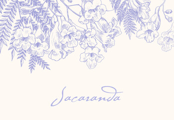 Jacaranda blooming branches, purple and beige floral background. Hand drawn elements, illustration for design greeting card, invitation, wedding