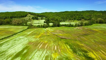 Wall Mural - Spring in rural Kentucky