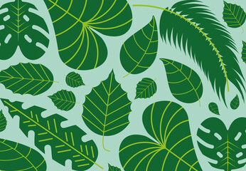 Wall Mural - tropical green leaves