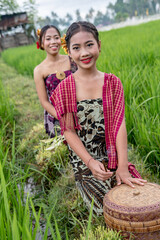 Balinese two nice girls and a boy in rice fields and in beautiful traditional clothing, Bali, Indonesia.