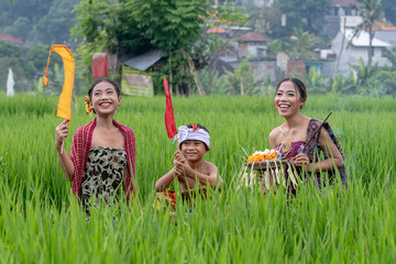 Balinese young girl and boy in rice fields in traditional dress and with flags. 