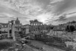 Roman Forum in black and white with dramatic light - Rome
