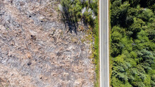 Aerial View Captured By Drone Of A Clear Cut Forest Ravaged By A Logging Crew. The Bare Area Is Surrounded By Lush Pine Trees And A Highway Drives A Line Between In Washington State. 