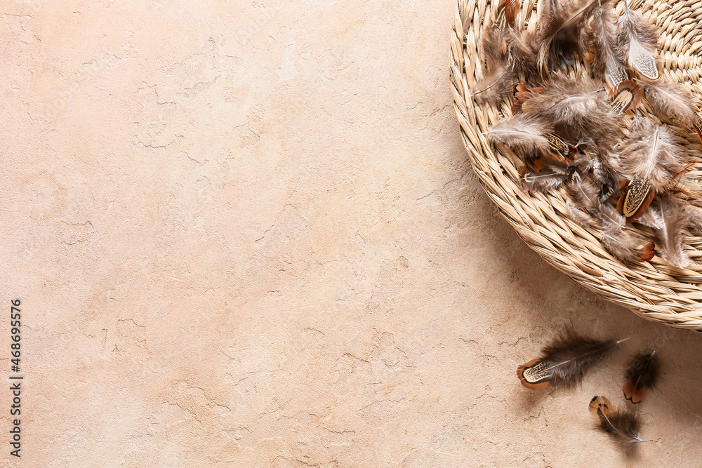 Wicker box with pheasant feathers on beige background, closeup