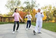 Cheerful Senior Chinese Adult Practicing Tai Chi In The Park
