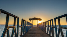 Sunrise Over The Red Sea. A Wooden Path With A Metal Railing Goes Over The Water To The Canopy.  The Rays Of The Sun Illuminate The Sky In Orange. Egypt