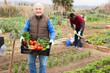 © JackF - Smiling elderly man harvesting vegetables in a box. High quality photo