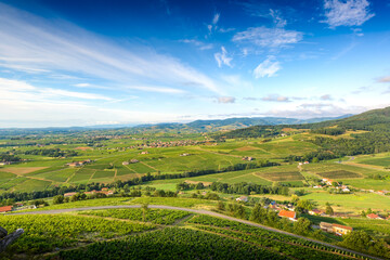 Wall Mural - Village d'Odenas et paysage du Beaujolais, France