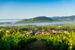 © Gael Fontaine - Le Mont Brouilly, et les villages de Cercié et Morgon, Beaujolais, France