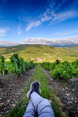 Wall Mural - Marcheur dans les vignes autour du Mont Brouilly, Beaujolais, France