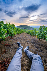 Wall Mural - Marcheur dans les vignes autour du Mont Brouilly, Beaujolais, France